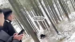Funny actions 208