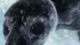 FUNNY LOL WIN