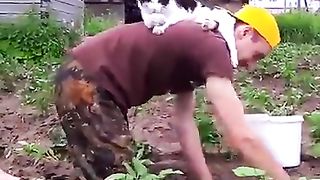 FUNNY LOL WIN