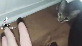 Cache-cache