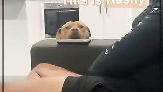 FUNNY LOL WIN