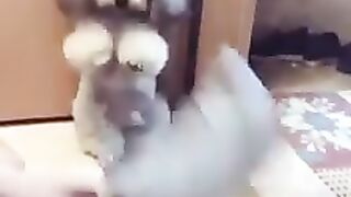 FUNNY LOL WIN