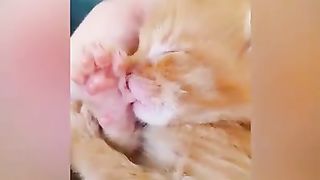 FUNNY LOL WIN CUTE