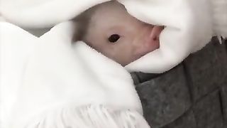 FUNNY LOL WIN CUTE