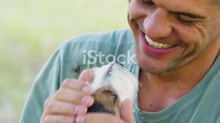 Dog well being stand up
