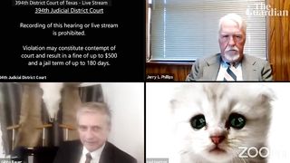 'I’m not a cat': lawyer gets stuck on Zoom kitten filter during court case