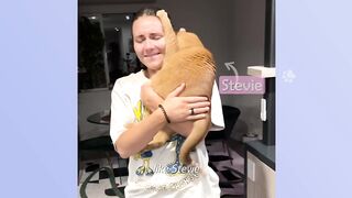 Sassy Orange Cat Needs To Be Babied At All Times | Cuddle Buddies