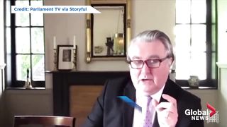 ''Rocco, put your tail down": Cat interrupts virtual UK parliamentary meeting