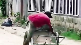 Frank videos |funny videos