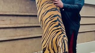tiger with man