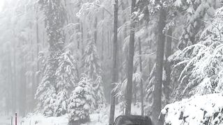 Winter & auto wonderland