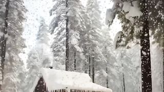Winter Wonderland