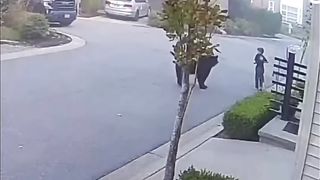 Man saves a kid from a bear!!