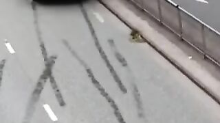 Running from the Cop