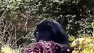 Bear attacks Cow!!!
