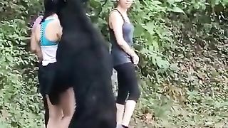 How to escape from bear???
