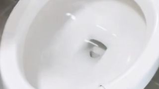 LED toilet light