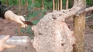 How to look after the beeeees?