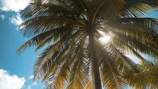 Paisagem