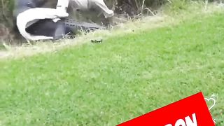 Crocodile attacks a man