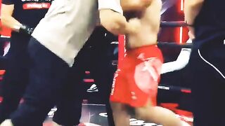 Fan attacks mma fighter