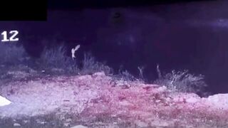 Flagrante Mágico Fada Encantadora Capturada em Vídeo!