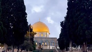 Palestine ????????