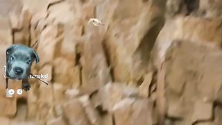 Watch This! you will not believe!!Olha so nao Vai acreditar!!!