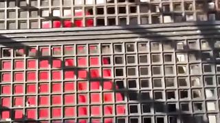 Momento de explosão de garrafa de rolo de escada para alívio do estresse #cura #descompressão #criador