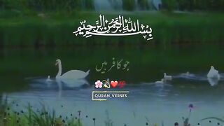Quran