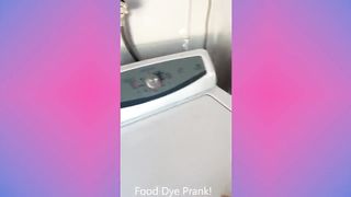 Best Shammi Pranks (@shammiltd) Compilation | Tiktok Funny Videos