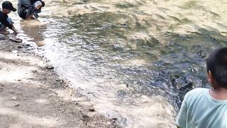 catch fish in the river