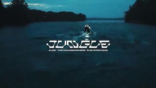 Alok,_The_Chainsmokers___Mae_Stephens_-_Jungle__Official_Video_(360p).