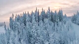 Natural video