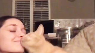 Cats 369