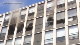 Cat jumps out 5th floor window, survives fall during Englewood fire
