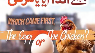 Egg or the chicken