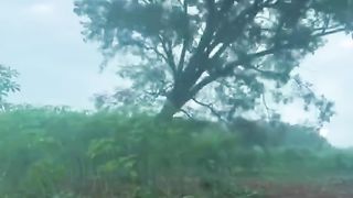 雨花石#歌曲
