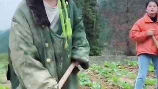 情歌赛过春江水#歌曲