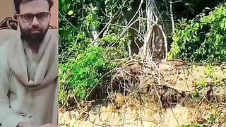 Tiger attacks on crocodile