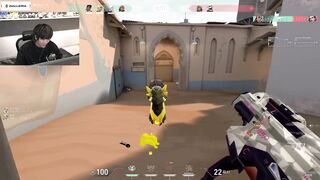 im_mittiii_ happy gecko 4k