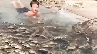 ARE YOU AFRAID OF CROCODILES?