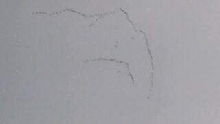 Crane - Koonj. Birds in the sky