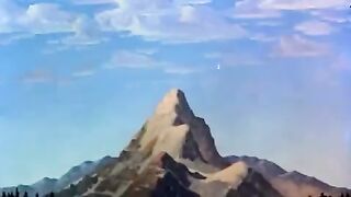 Airplane! (1980)