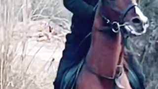Horse Racing | horse riding