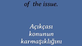 Learn English to Turkish Adverbs 131