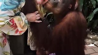 Monkey