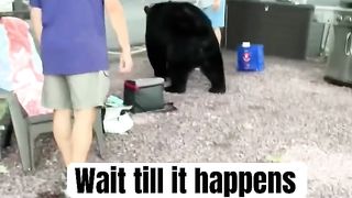 Not the smartest idea!! #bear #camping