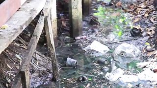 Самые Редкие Места на Земле, Которые Блестяще Чистые.