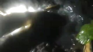 Jadi petani itu cape dan harus kuat, walaupun malam tetap beraktivitas
